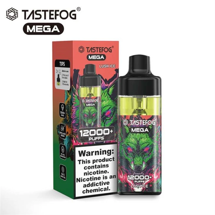 HƯƠNG VỊ MEGA 12000 Puffs