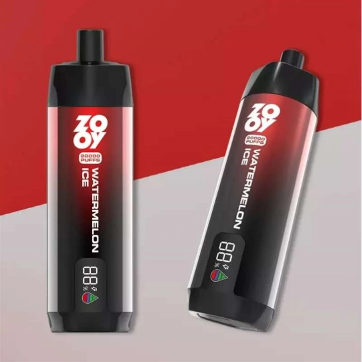 Zooy Vape Shisha 2000 Puff